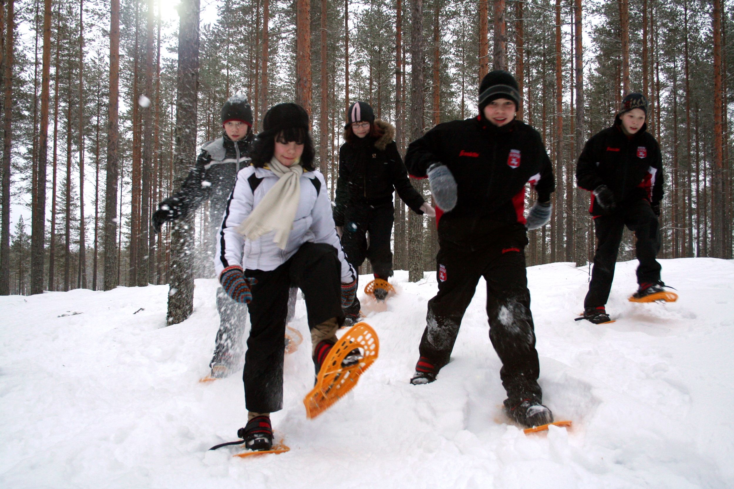 Snow shoeing at Metsäkartano