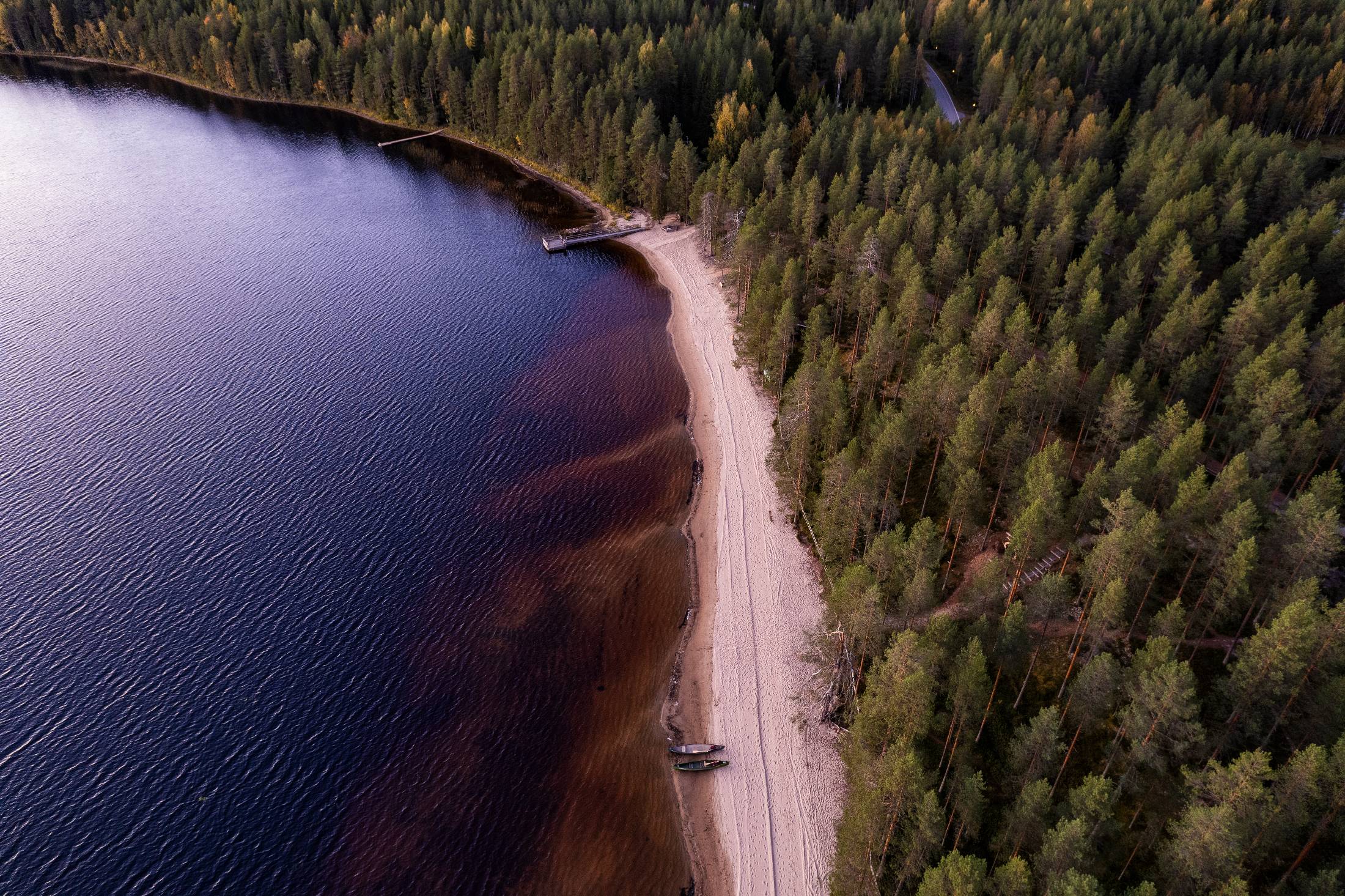 Lapset ja aikuinen ylittävät puusiltaa metsäpolulla ilta-auringossa