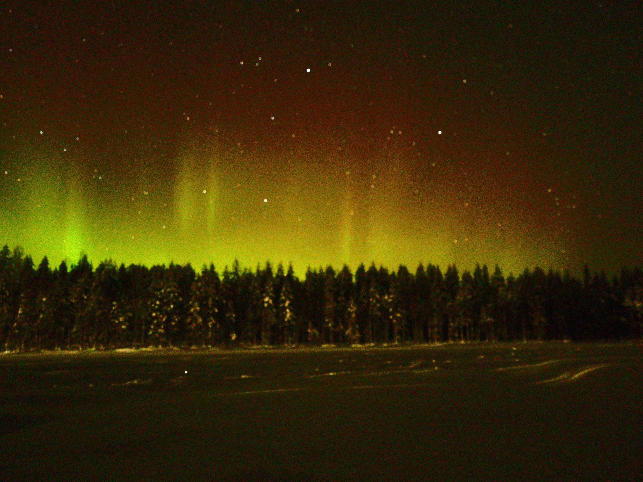 Tähtitaivas Metsäkartanon yllä